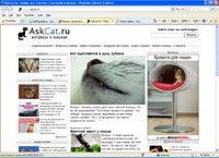 askcat.ru : AskCat.ru - ,   .  