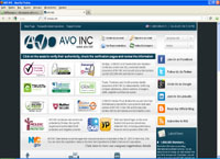 avousa.com : AVO INC International asset management company