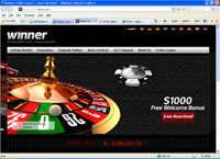 Winner Online Casino - Expect the best (casino.winner.com)