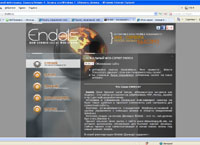 endels.ru : Endels -  web-,    