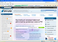 REG - регистрация доменов у аккредитованного регистратора доменов (reg.ru)