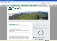 tradeq.biz : TradeQ - investments that work