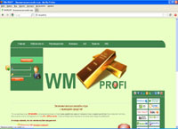 WM PROFI -    (wm-profi.ru)